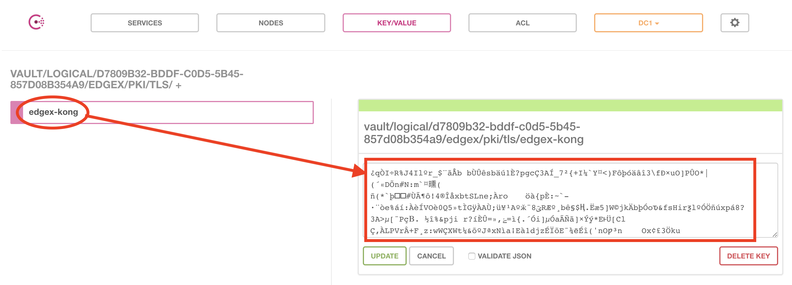 _images/EdgeX-UI-Consul-09.png