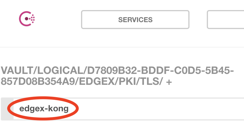 _images/EdgeX-UI-Consul-08.png