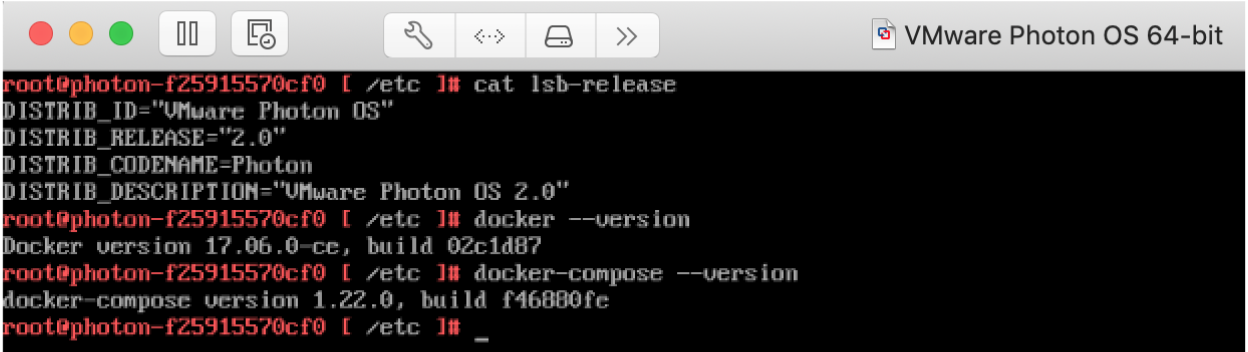 Version Information